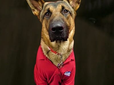 Cellino Plumbing, Heating & Cooling