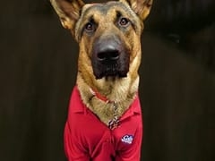 Cellino Plumbing, Heating & Cooling