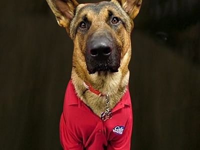 Cellino Plumbing, Heating & Cooling