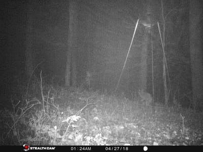 Chandler Heating & Air