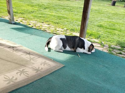 Chapman Heating, Air Conditioning & Plumbing