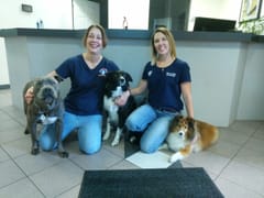 Charles Berg Enterprises, Inc.