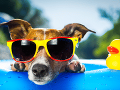 Chavez Heating & Air, Inc.