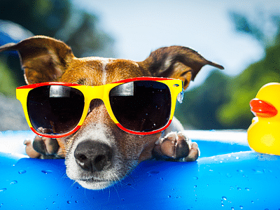 Chavez Heating & Air, Inc.