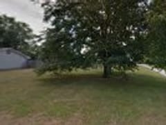 Chestnut Services Inc