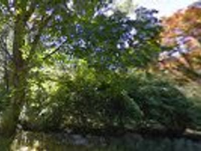 Chiarella's Heating & Cooling