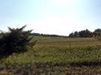 Chuck's Heating & Cooling Inc.