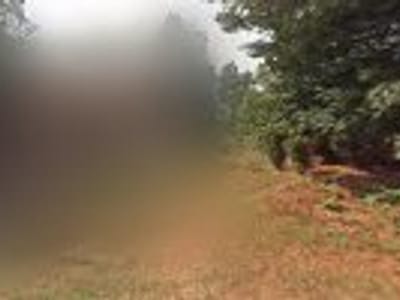 City Service Company Inc