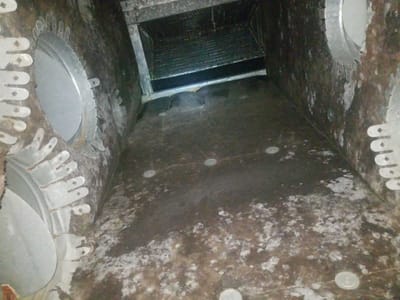 Clean Air San Antonio Pro