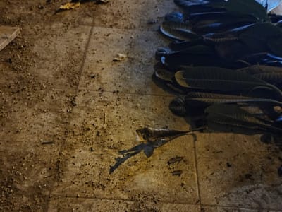 Clear All Cooling and Heating LLC