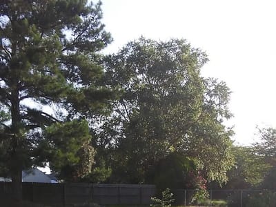 Cliff City Supply Co