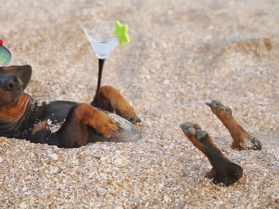 Climate Control Heating & Air Conditioning