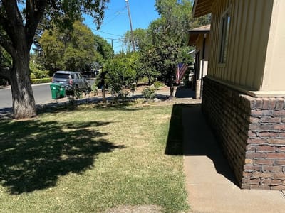 Climate & Energy Solutions