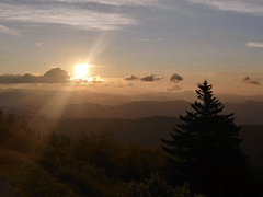 Cline Mechanical Consultants