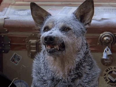 CNC HVAC - Heating and Air Conditioning Services