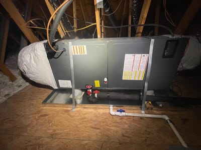 Coastal Carolina Comfort