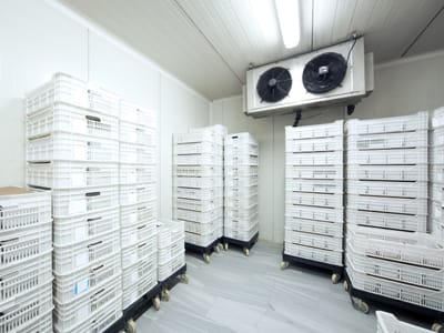 COBB Refrigeration & Laboratory Services, LLC