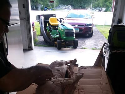 Coleman Cooling & Heating