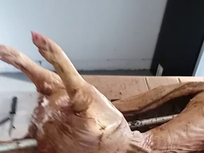 Coleman Cooling & Heating