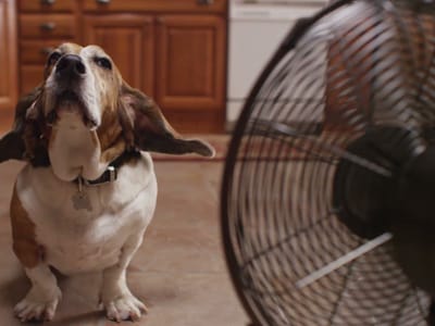 Comfort Heating & Cooling Inc.