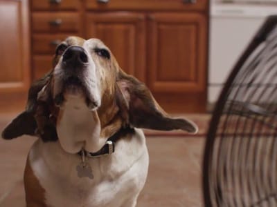 Comfort Heating & Cooling