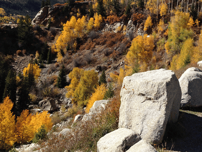 Comfort Solution Technologies LLC