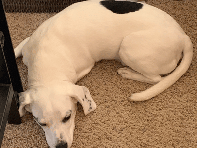 Comfort Solution Technologies LLC