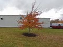 Commercial Filter Service, Inc.