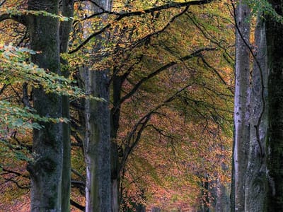 Community II Heating & Air Conditioning