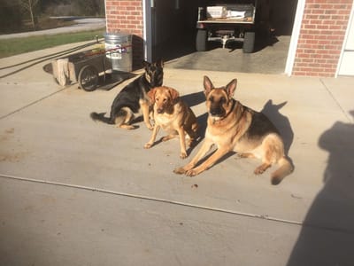 Complete Service Heat & Air