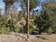 Constantini's Heating & Air Conditioning Service