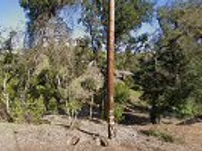 Constantini's Heating & Air Conditioning Service