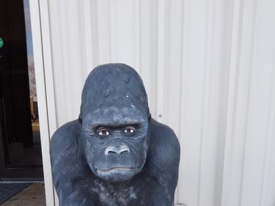 Cook's Heating & Cooling