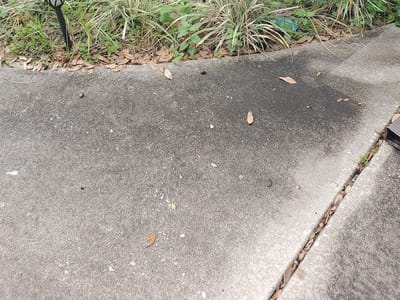 Cool Connections Inc.