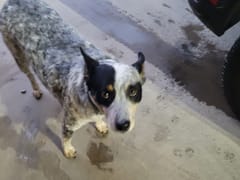 Cool Enterprises Inc