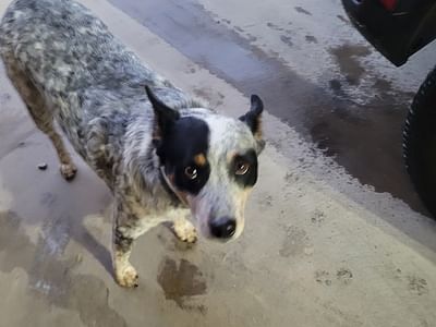 Cool Enterprises Inc