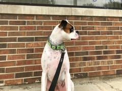 Cool Operator Heating and Cooling Inc.