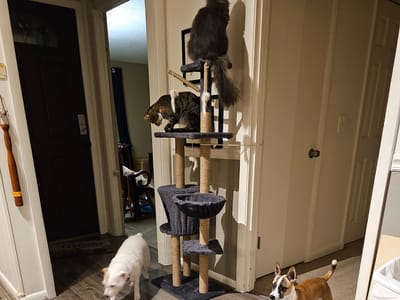 Coolray Heating, Cooling, Plumbing & Electrical