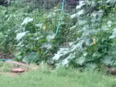 County Line Heating & Air Conditioning