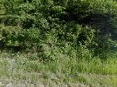 Covenant Heating & AC