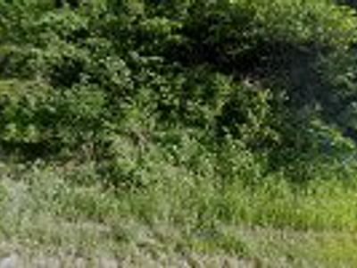 Covenant Heating & AC