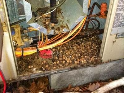 Creech Heating and Air