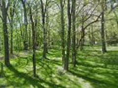 Cross Heating & Cooling Inc