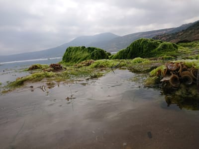 Custom Air Products & Services Inc