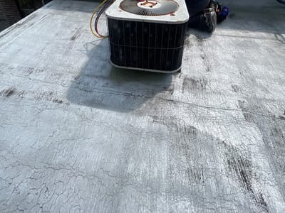 Cutting Edge Total Comfort