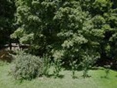 D Buck Heating & Cooling Llc