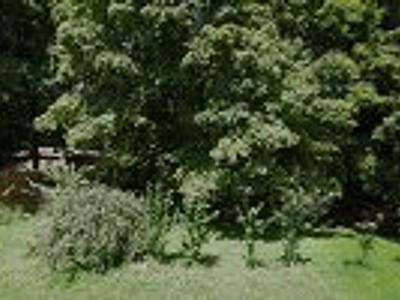 D Buck Heating & Cooling Llc