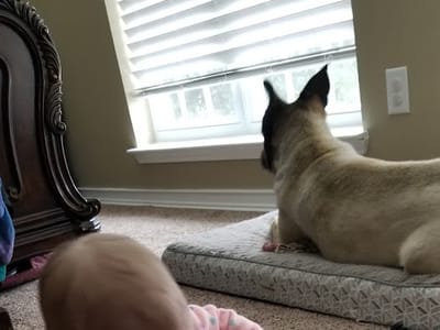 D's Enterprise Air Condition & Heating