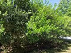 Dad's Air Conditioning And Heating Service