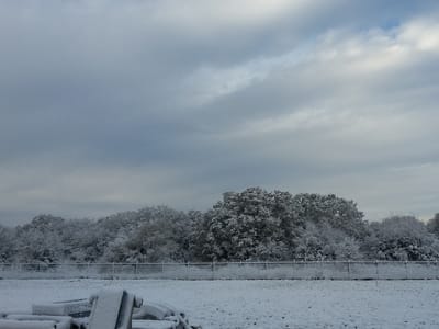 Dailey Company, Inc.